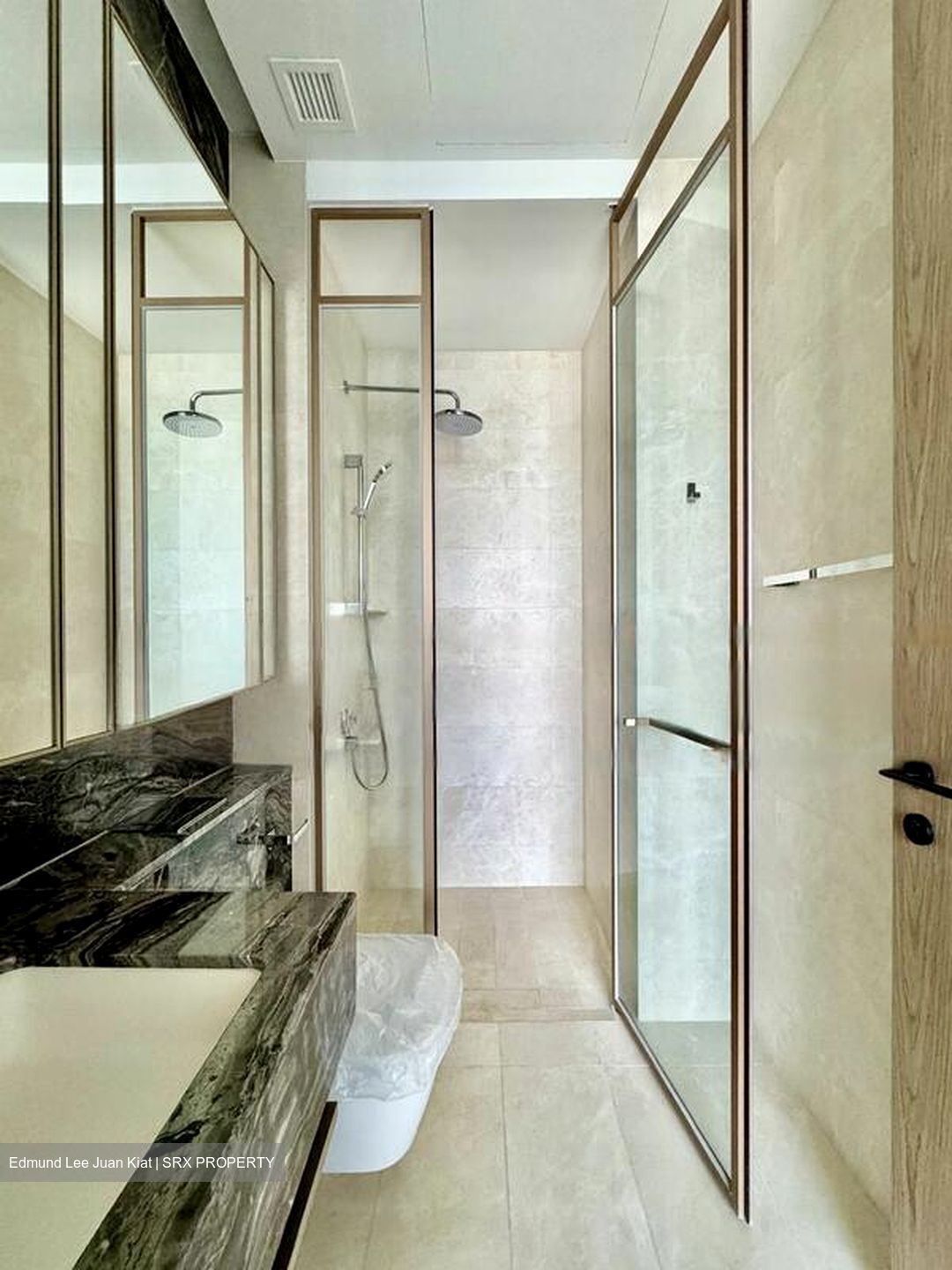 The Avenir (D9), Condominium #554595611